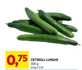 DPiù CETRIOLI LUNGHI 300 g offerta