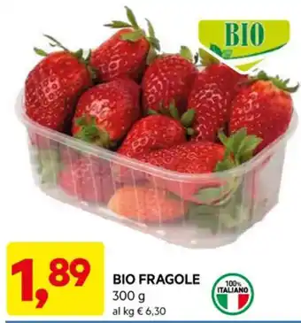 DPiù BIO FRAGOLE 300 g offerta