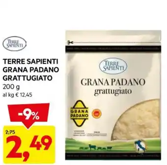 DPiù TERRE SAPIENTI GRANA PADANO GRATTUGIATO 200 g offerta