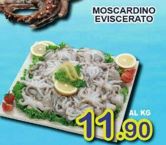 Sacoph Pesce offerta
