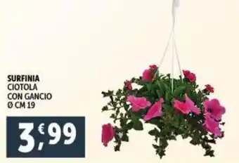 Deco Supermercati SURFINIA CIOTOLA CON GANCIO offerta