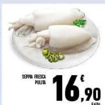 Conad Superstore Seppia fresca pulita offerta