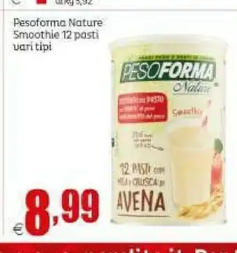 Nature smoothie 12 pasti