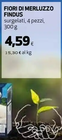 Coop Fiori di merluzzo surgelati offerta