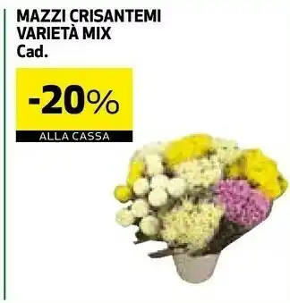 Coop Piante offerta