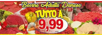 Bovine adulto danese