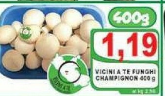 Funghi champignon
