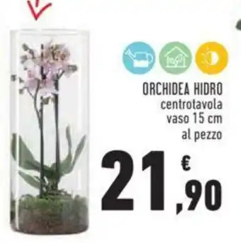 Conad ORCHIDEA HIDRO centrotavola vaso 15 cm offerta