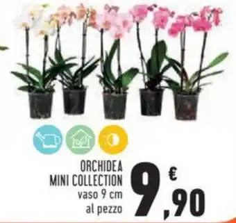 Conad ORCHIDEA MINI COLLECTION vaso 9 cm offerta