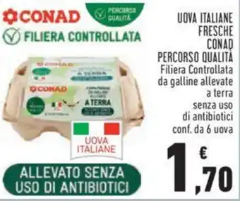 Conad UOVA ITALIANE FRESCHE CONAD PERCORSO QUALITÀ offerta