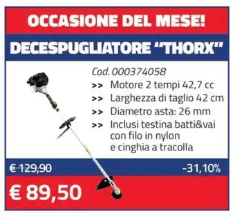 Eurobrico DECESPUGLIATORE "THORX" 42,7 cc 42 cm offerta