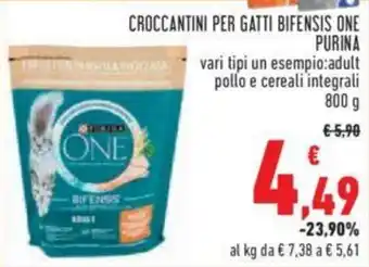 Conad CROCCANTINI PER GATTI BIFENSIS ONE PURINA 800 g offerta