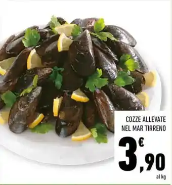 Conad COZZE ALLEVATE NEL MAR TIRRENO offerta