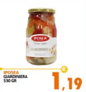 Rosa Cash IPOSEA GIARDINIERA 530 GR offerta