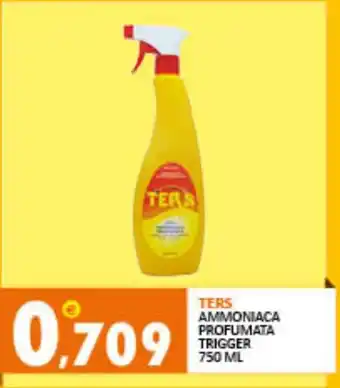 Rosa Cash TERS AMMONIACA PROFUMATA TRIGGER 750 ml offerta