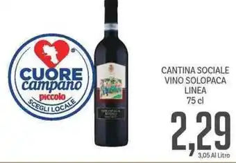 Supermercati Piccolo CANTINA SOCIALE VINO SOLOPACA LINEA 75 cl offerta