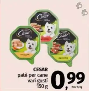 Pam CESAR patè per cane vari gusti offerta