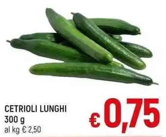 A&O CETRIOLI LUNGHI 300 g offerta