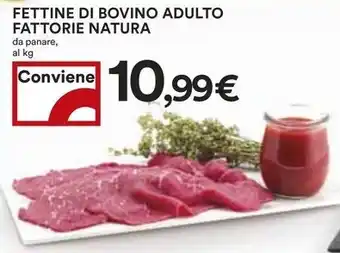 Coop FETTINE DI BOVINO ADULTO FATTORIE NATURA offerta