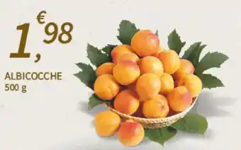 SpeSì ALBICOCCHE 500 g offerta