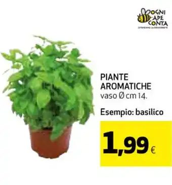 Coop PIANTE AROMATICHE offerta