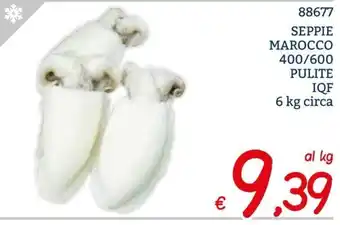 Zona SEPPIE MAROCCO PULITE IQF 6 kg circa offerta