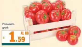 Altasfera Pomodoro grate offerta