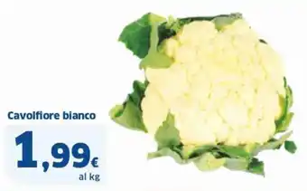 Sigma Cavolfiore bianco offerta