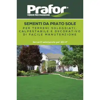 Bricofer Hortus Semi prato sole, 1 kg offerta