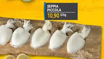 SEPPIA PICCOLA