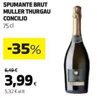 Coop SPUMANTE BRUT MULLER THURGAU CONCILIO 75 cl offerta