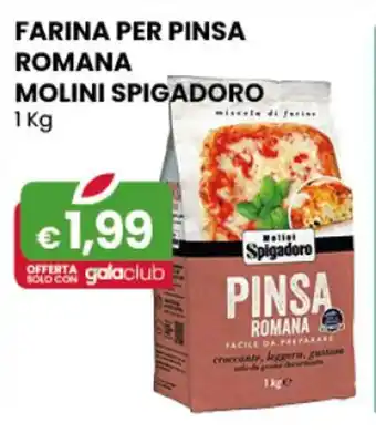 Gala Supermercati FARINA PER PINSA ROMANA MOLINI SPIGADORO 1 Kg offerta