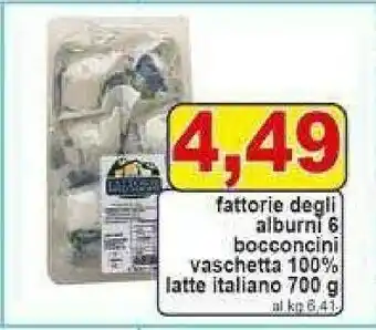 Pewex 6 bocconcini vaschetta 100% latte italiano offerta