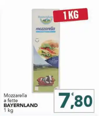 Mozzarella a fette BAYERNLAND 1 kg