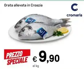 Iper La Grande Orata allevata in Croazia offerta