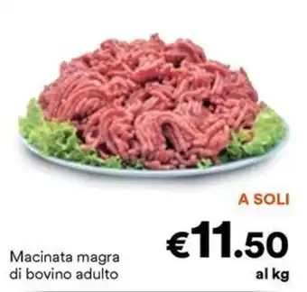 Unes Macinata magra di bovino adulto offerta