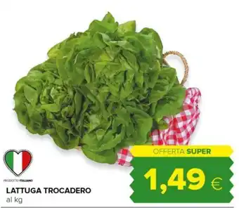 Oasi LATTUGA TROCADERO offerta