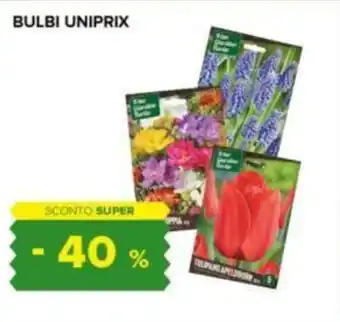 BULBI UNIPRIX