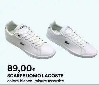 Ipercoop SCARPE UOMO LACOSTE offerta