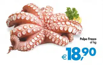 Deco Supermercati Polpo Fresco offerta