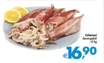 Deco Supermercati Calamari decongelati offerta