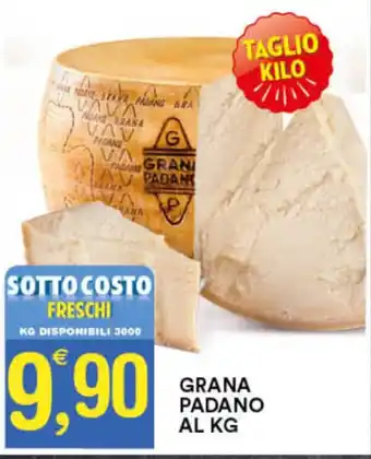 Gecop GRANA PADANO offerta