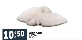 Deco Supermercati SEPPIA PULITA G 5/7 CA. offerta