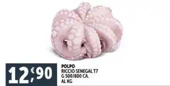 Deco Supermercati POLPO RICCIO SENEGAL T7 G 500/800 CA. offerta