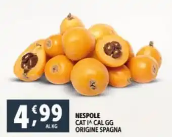 Deco Supermercati NESPOLE CATIA CAL GG offerta