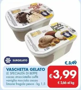 MD Discount VASCHETTA GELATO LE SPECIALITÀ DI BEPPE offerta