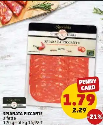 PENNY SPIANATA PICCANTE a fette 120 g offerta