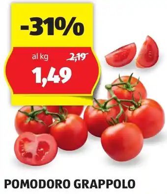 ALDI POMODORO GRAPPOLO offerta