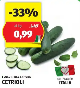 ALDI I COLORI DEL SAPORE CETRIOLI offerta