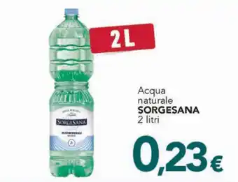 Altasfera Acqua naturale SORGESANA 2 litri offerta